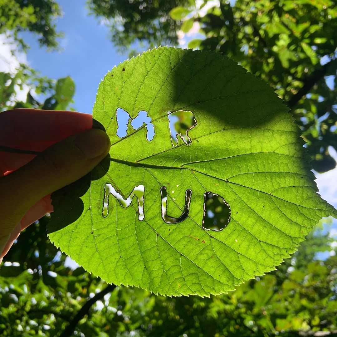 Forest School Image (9)