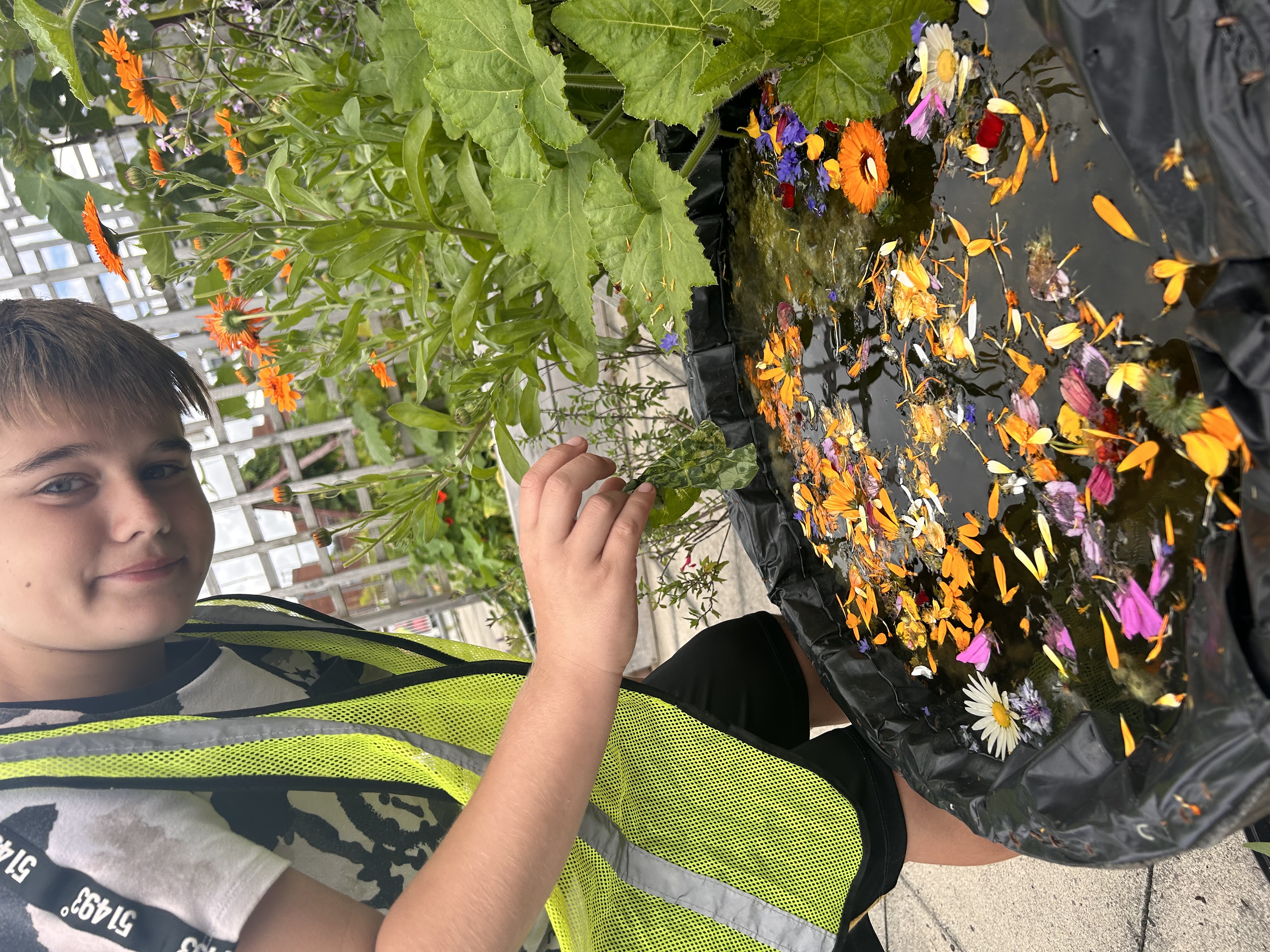 MicrosoftTeams-image (179)