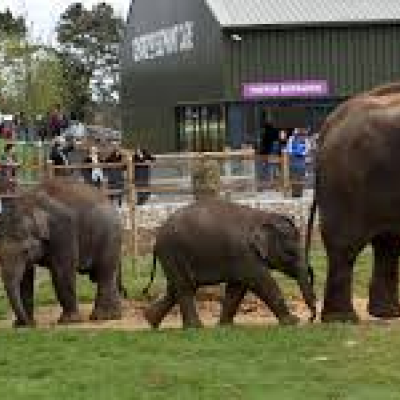 ProFormance Pathways Whipsnade Zoo Trip (High Wycombe Drop Off)