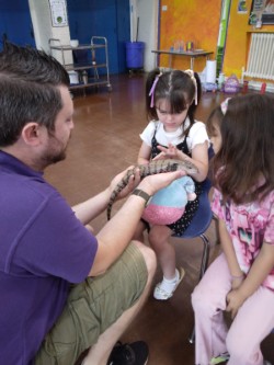 thumbnail_pro-ID3nyhnQ