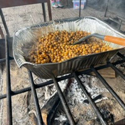 Sticks and Worms Nature Network  Forest School Outdoor Fun day 1