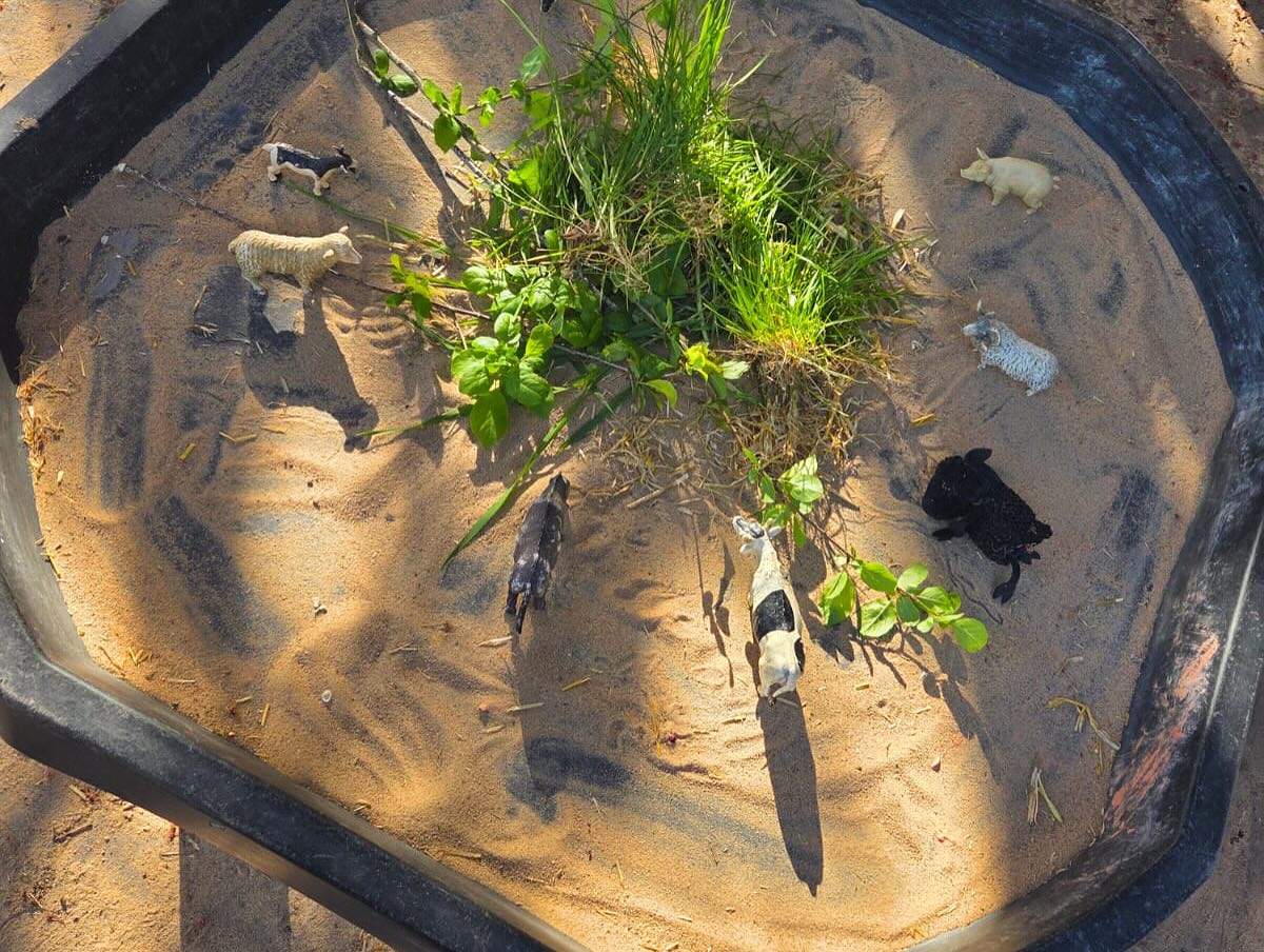 491438361_18047582663588224_2001623549488728936_n