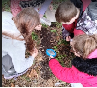 Screenshot_23-6-2025_124244_app.holidayactivities.com