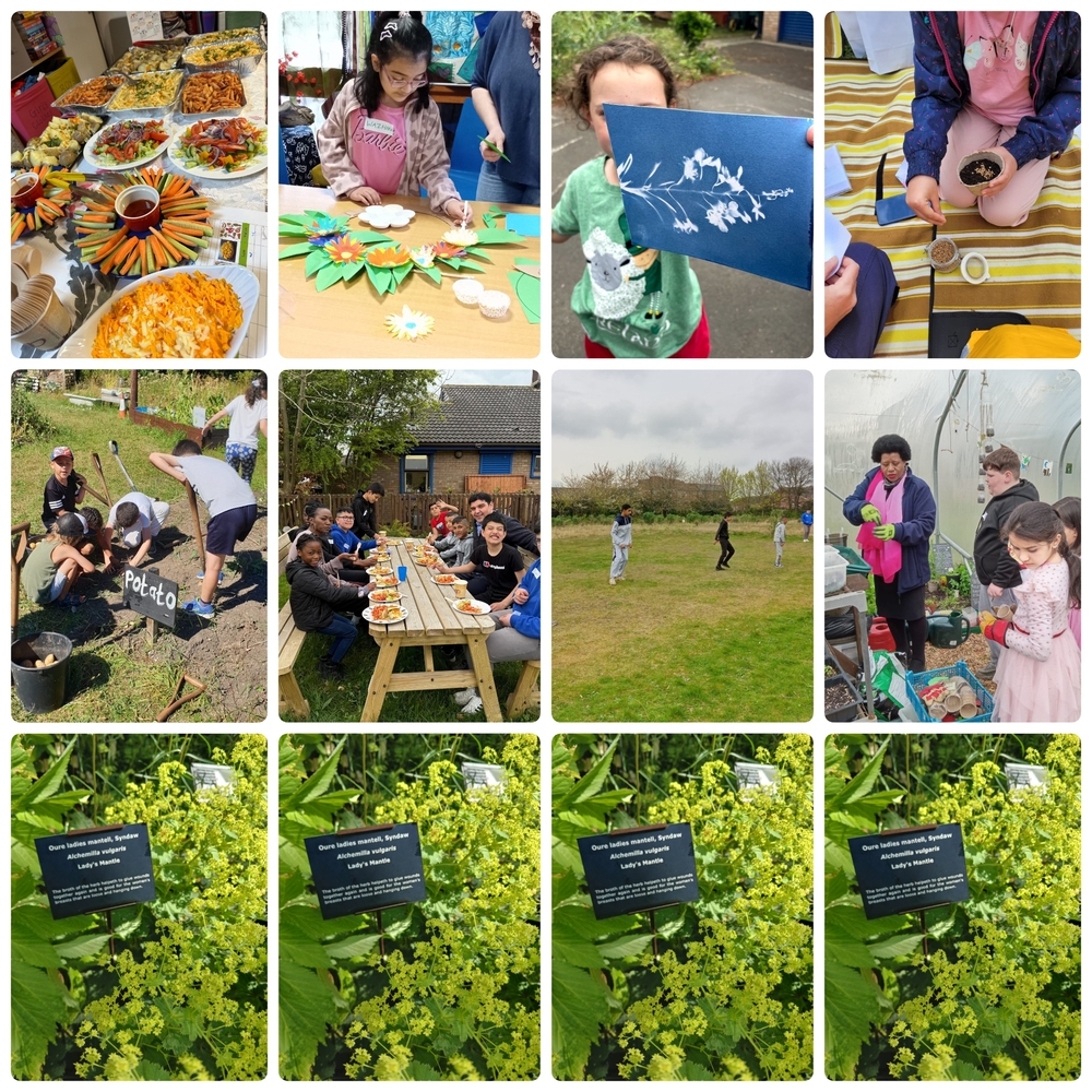 2025-06-26-14-14-24-718