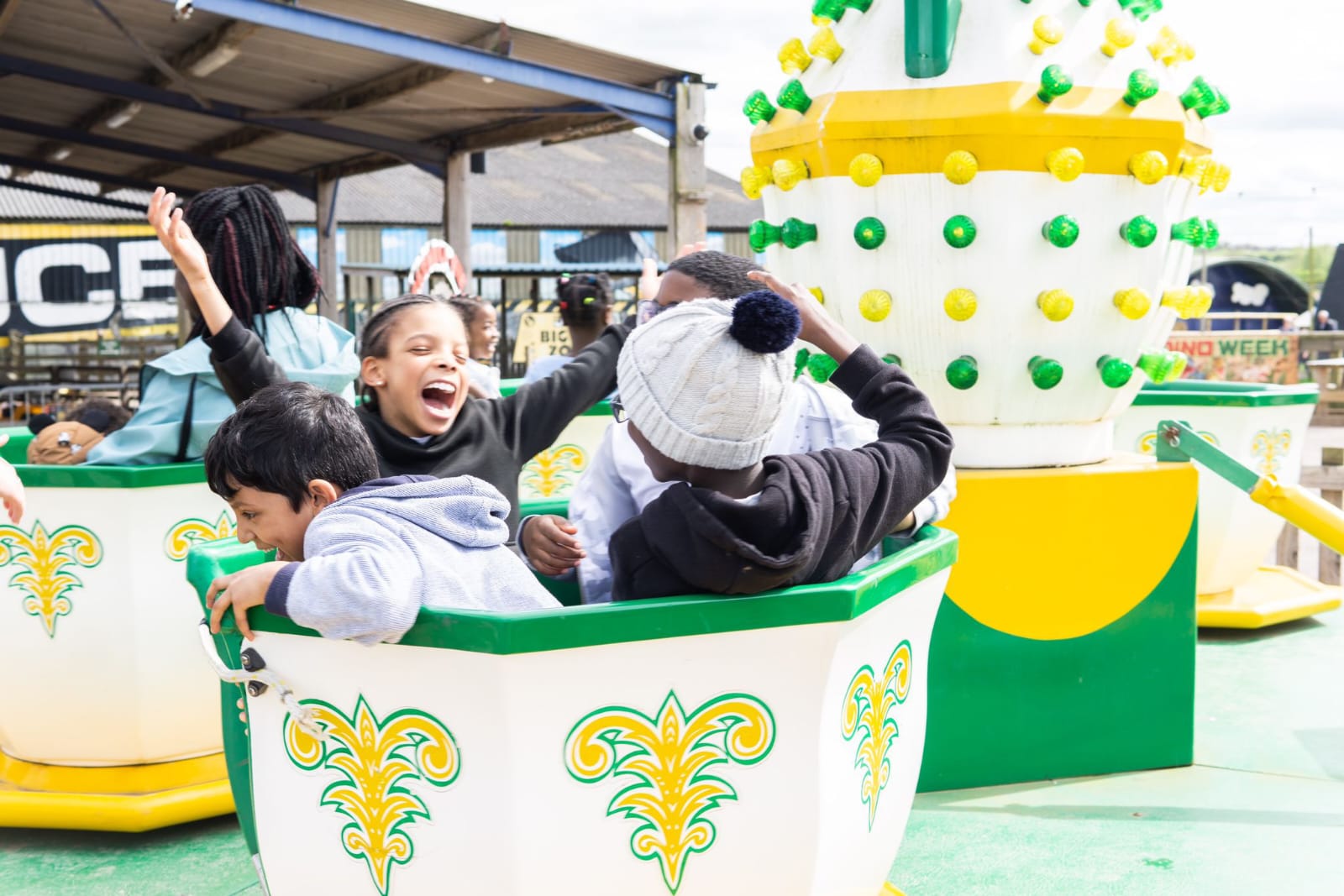 PHOTO-2025-07-03-11-50-50