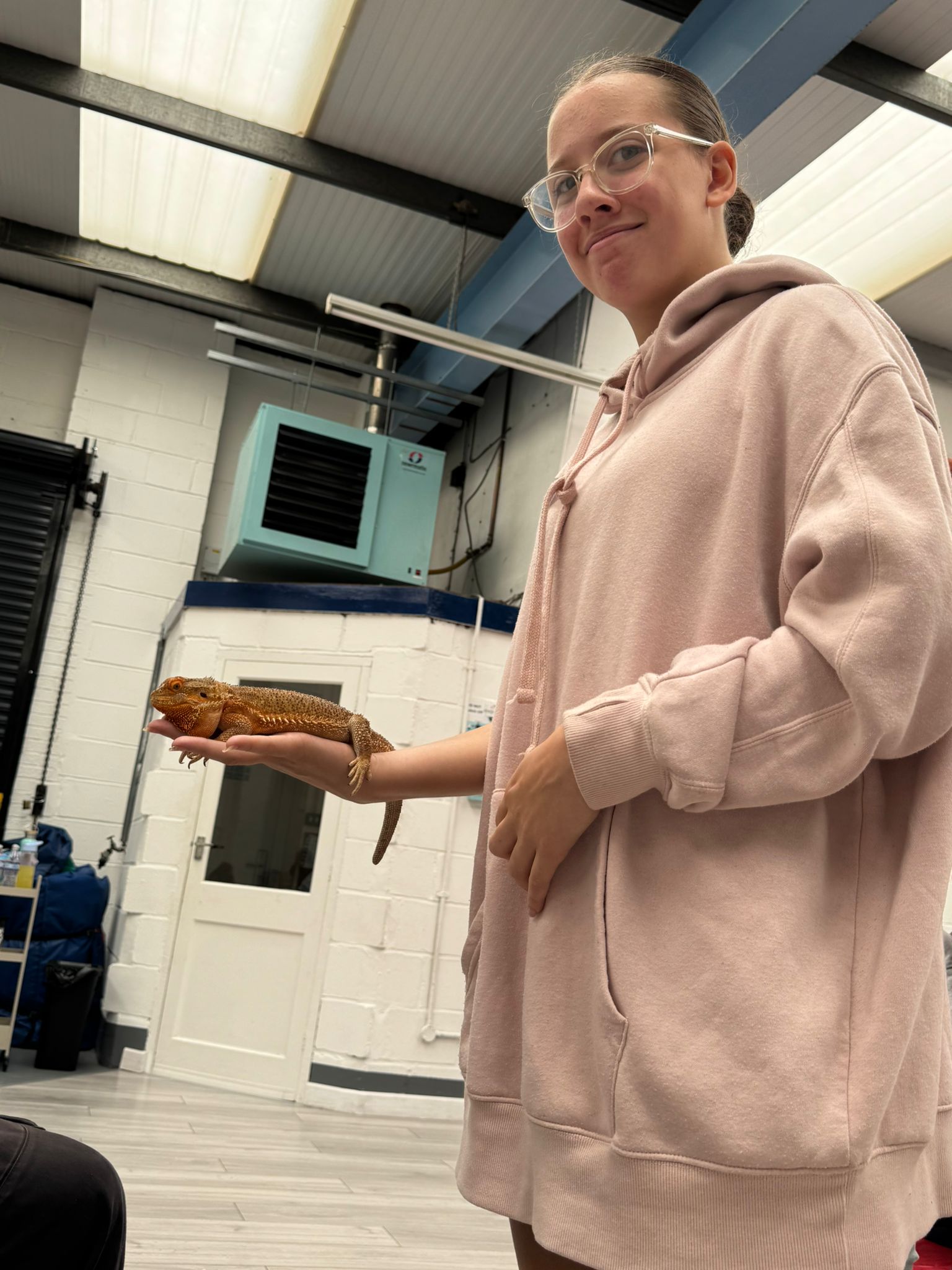 3ce7b26e-6791-4311-ae70-e413b7d1665e