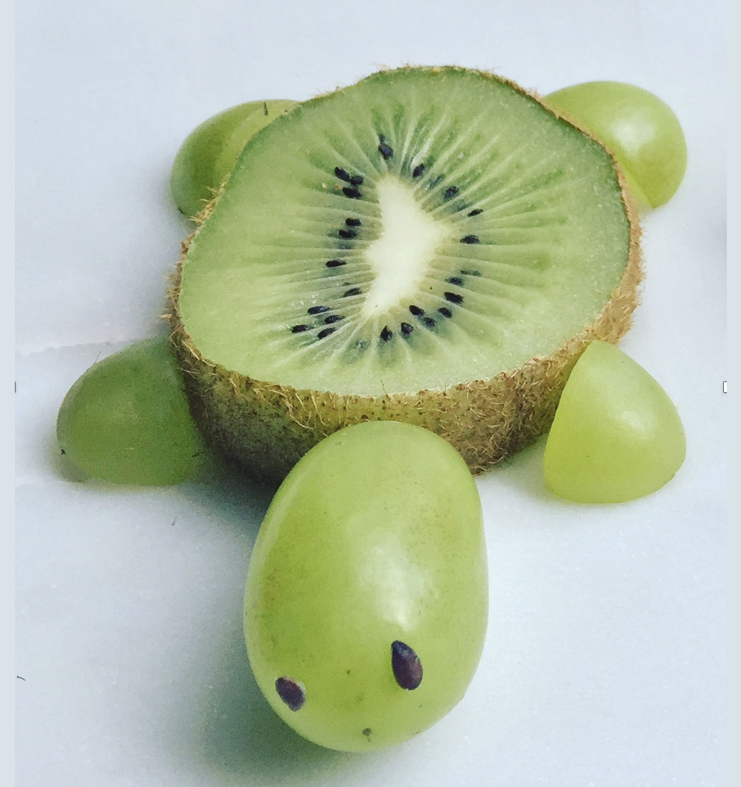 Fruit animal