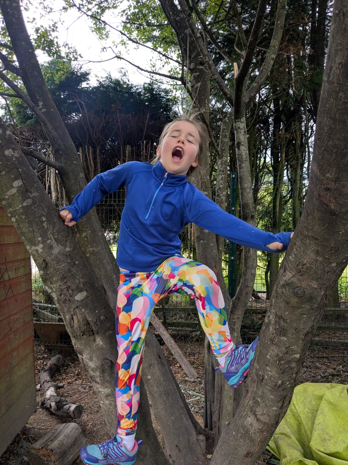 dcad7179-da76-42b3-8a1f-48acc8096969