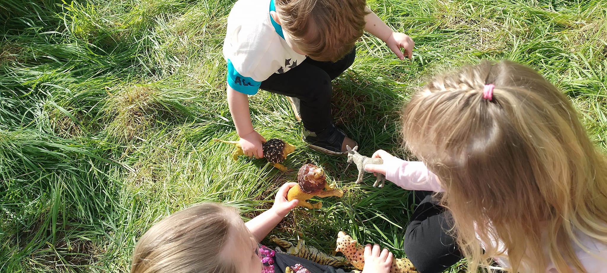 480574958_1168304095080759_127215618870966446_n