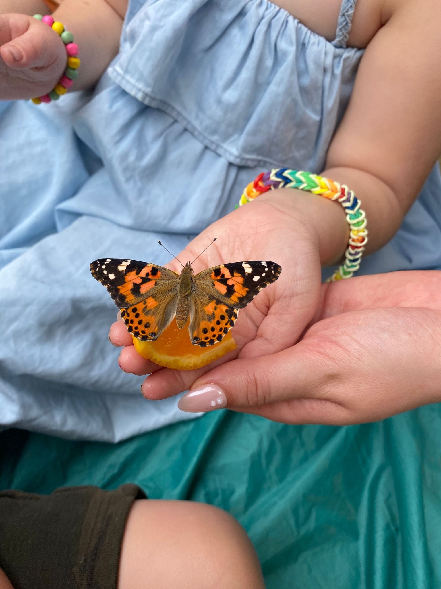 481112898_1173391497905352_5370216447697658273_n