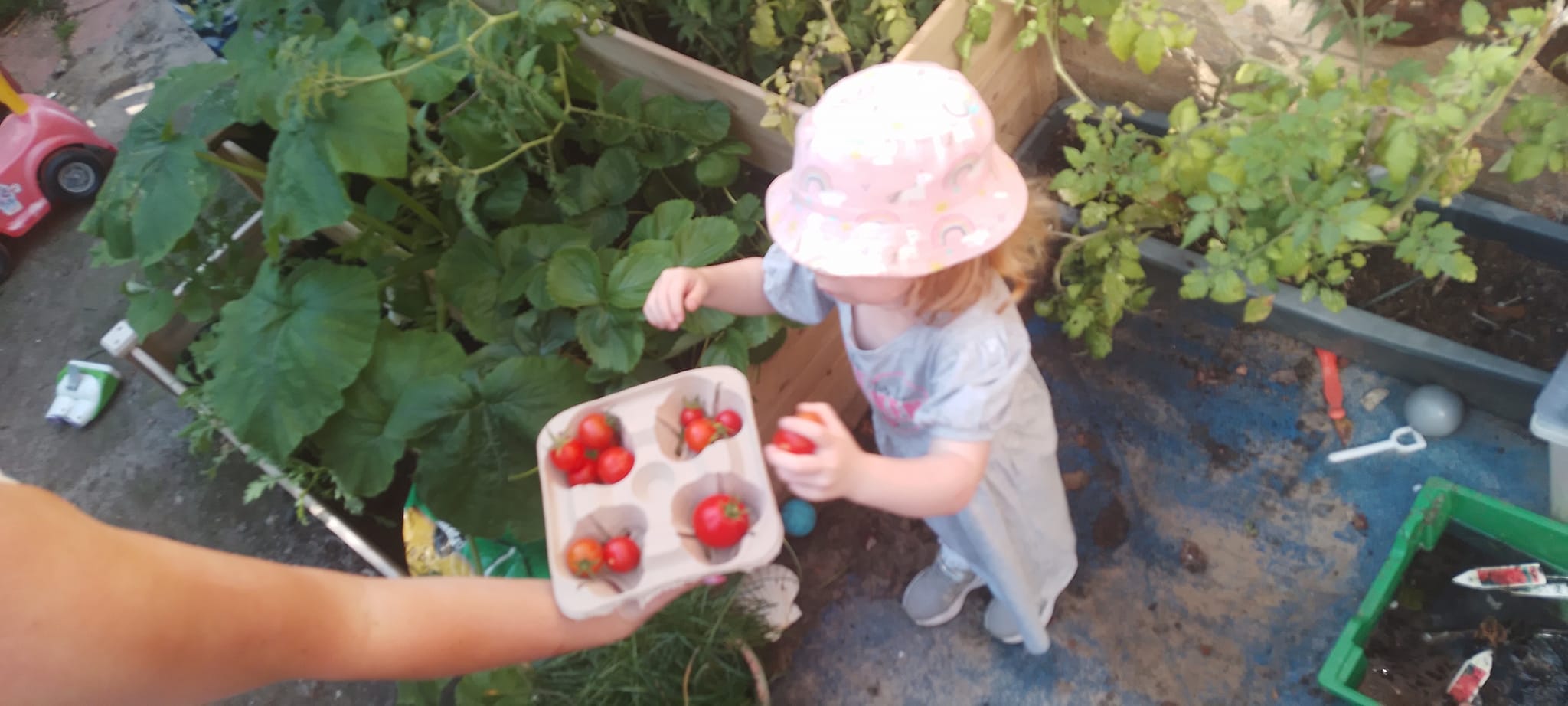 481820989_1175637377680764_6890960388534062404_n