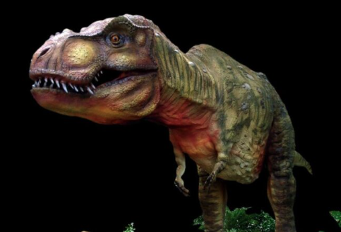 Dino Centre for Life