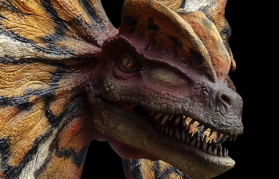 Dino 2 Centre for Life