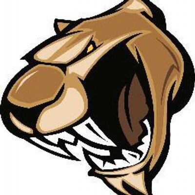 Croydon cougars Basketball club logo