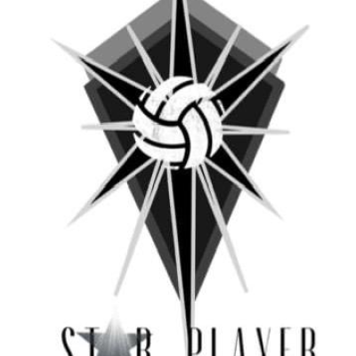 Star Player Ltd  logo