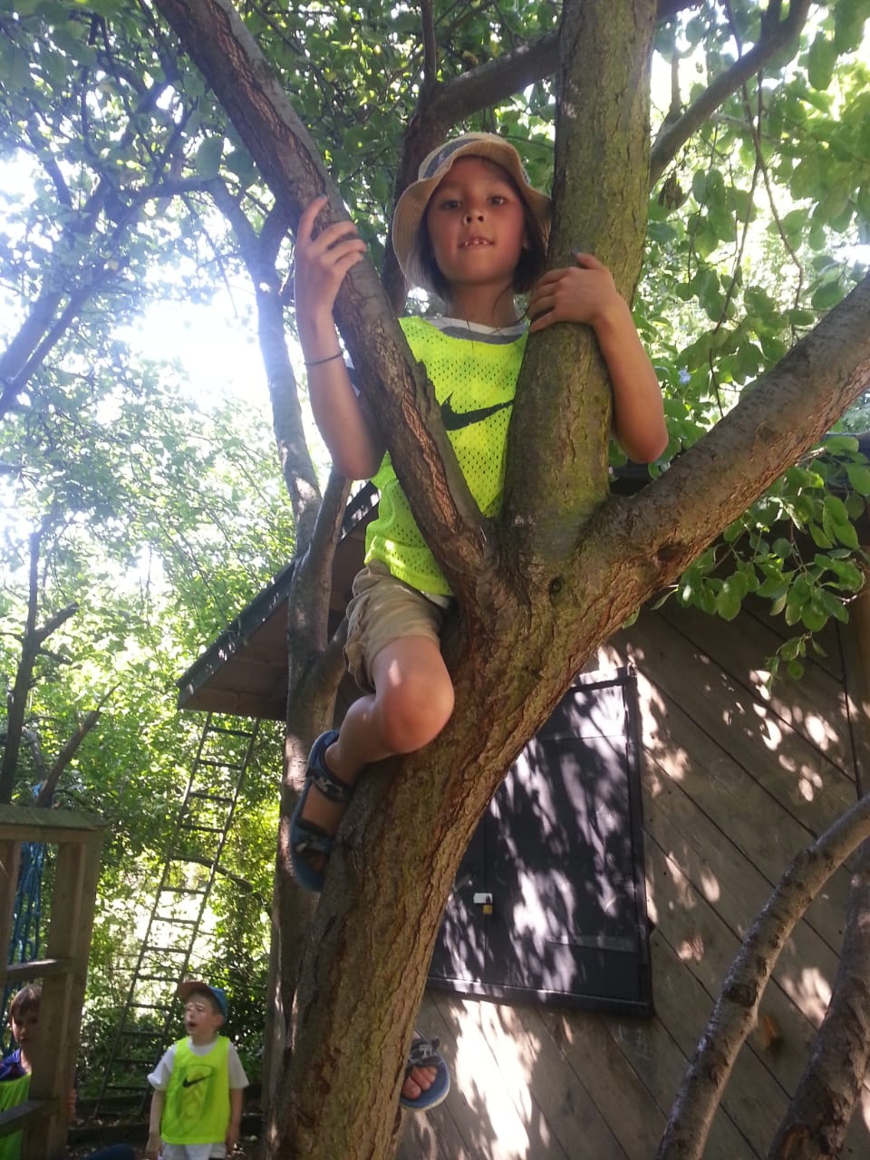 child clinbing tree