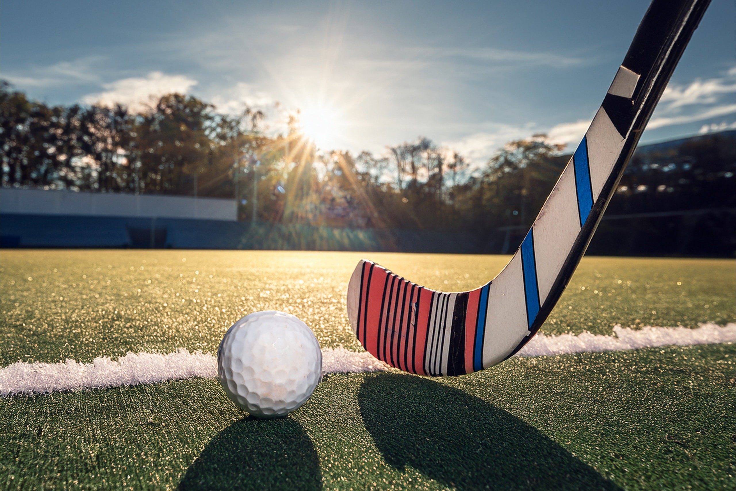 SportSmart - hockey