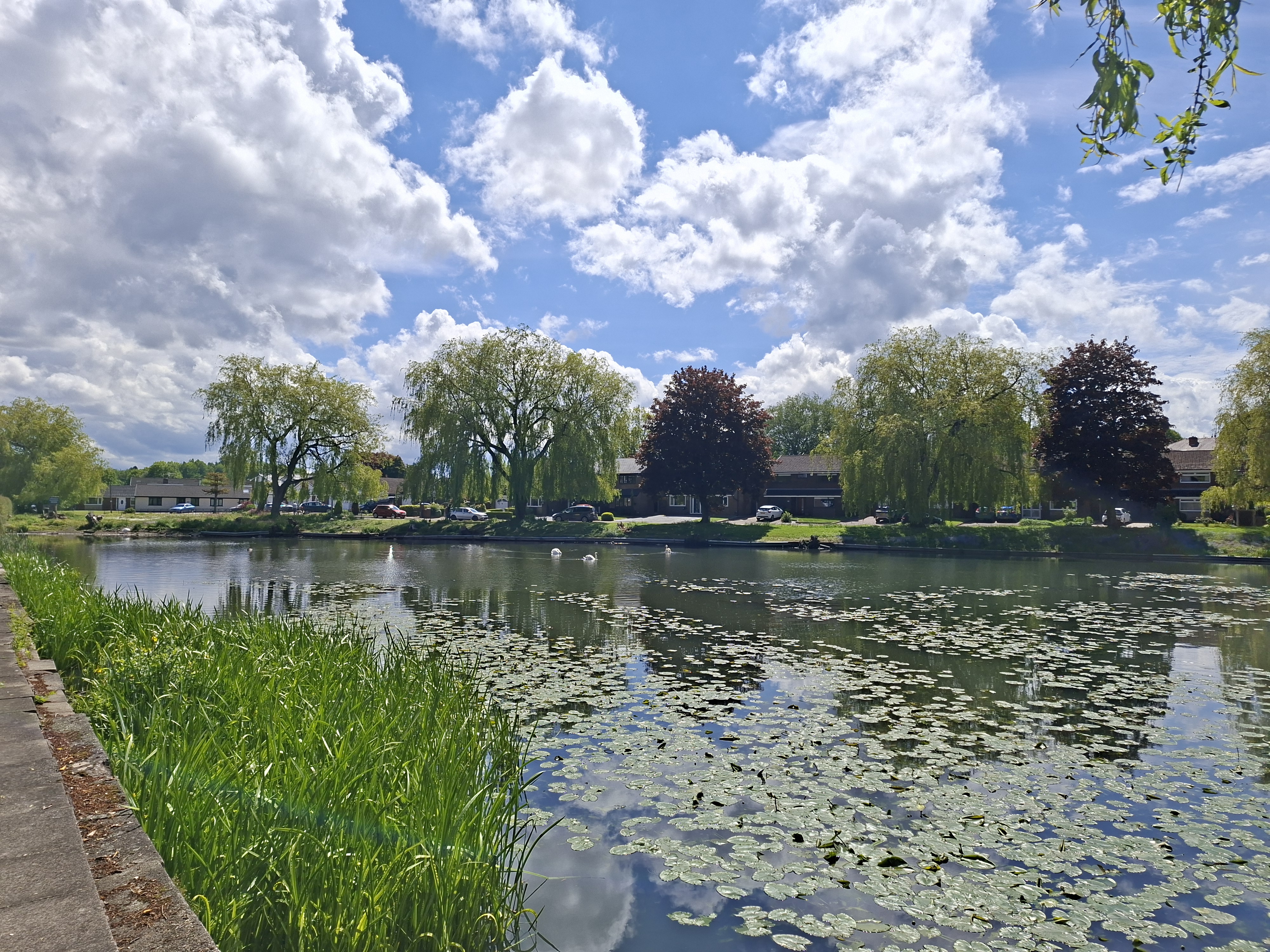 Lakeside