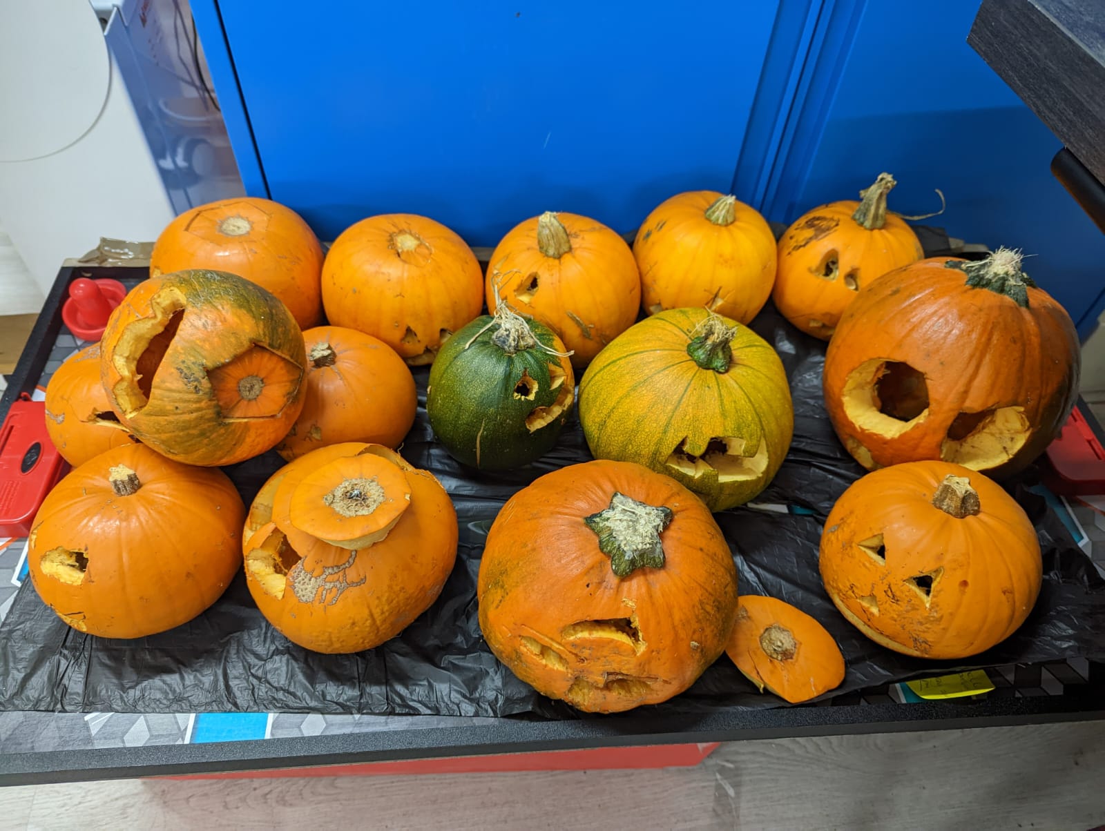 WhatsApp Image 2022-10-28 at 1.27.13 PM