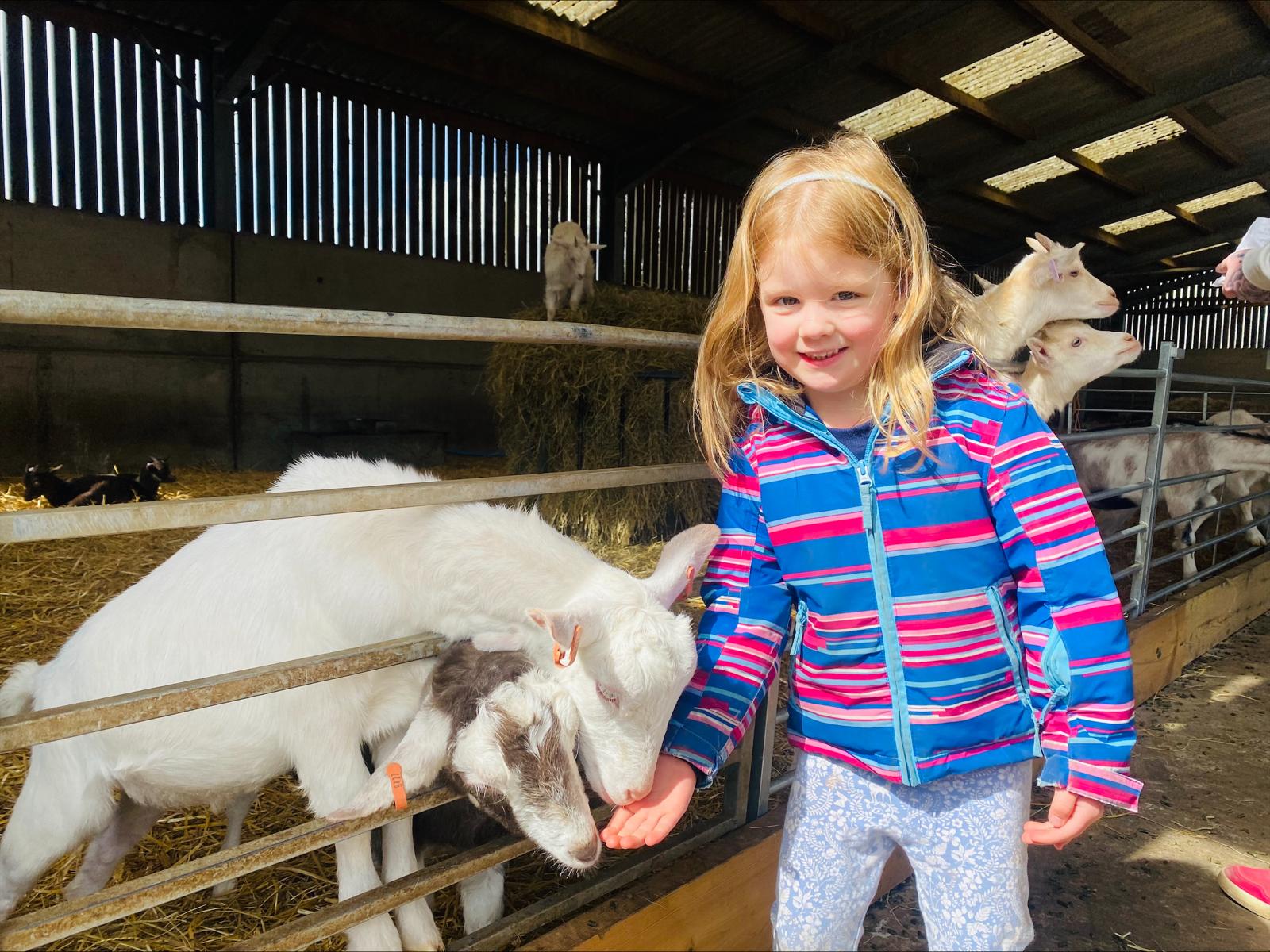 Forge Mill Farm Stripy Jumper girl