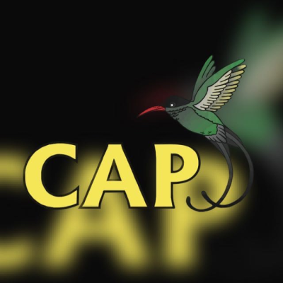 Community Action Project logo