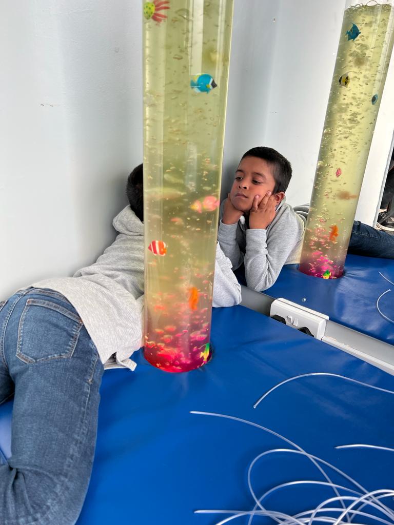 WhatsApp Image 2022-11-03 at 9.31.54 AM (3)