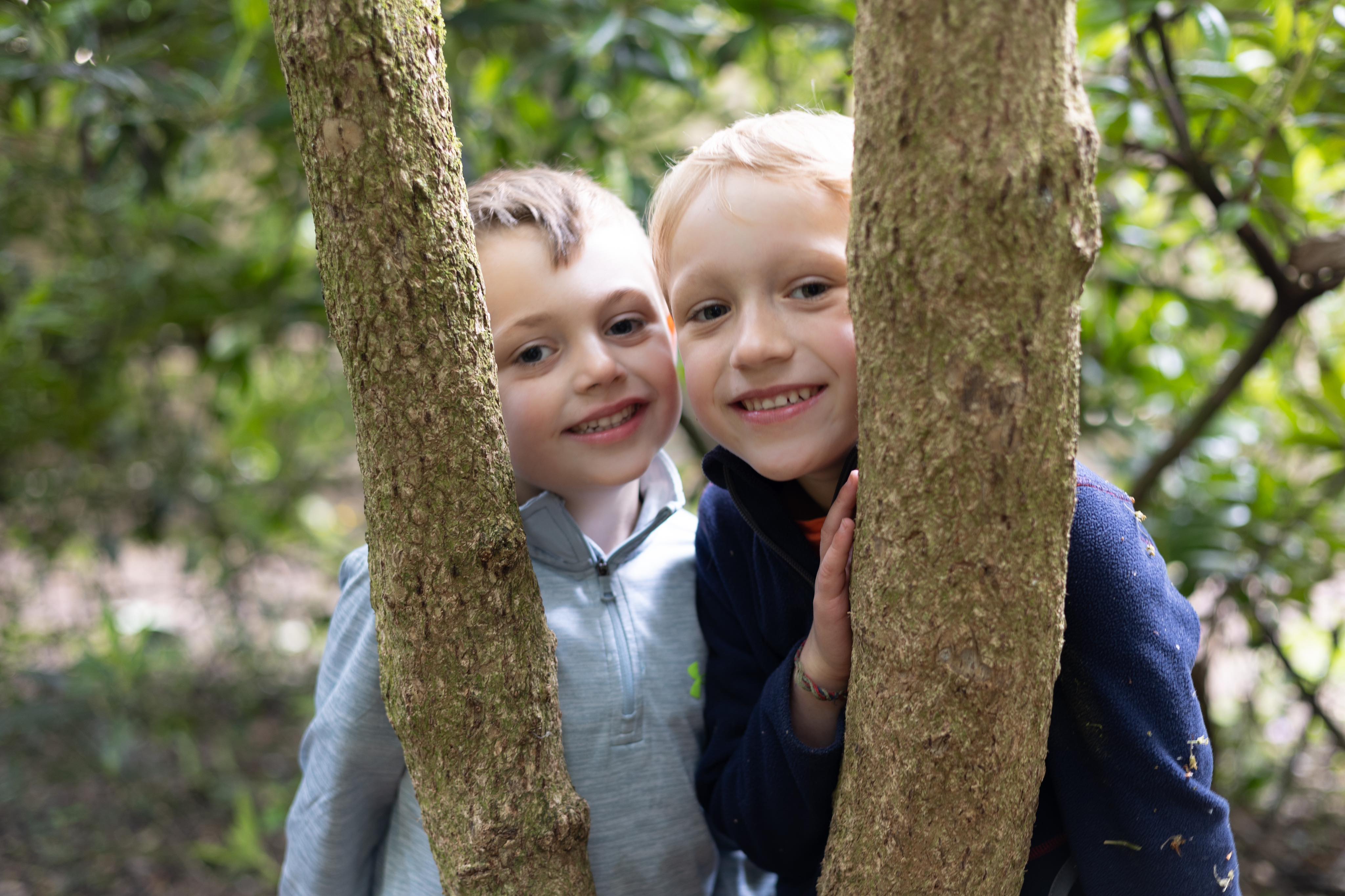 received_291047046605566