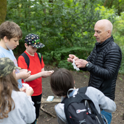 NEST Woodland Adventures Ltd - Bury Easter and Spring Nature Camp