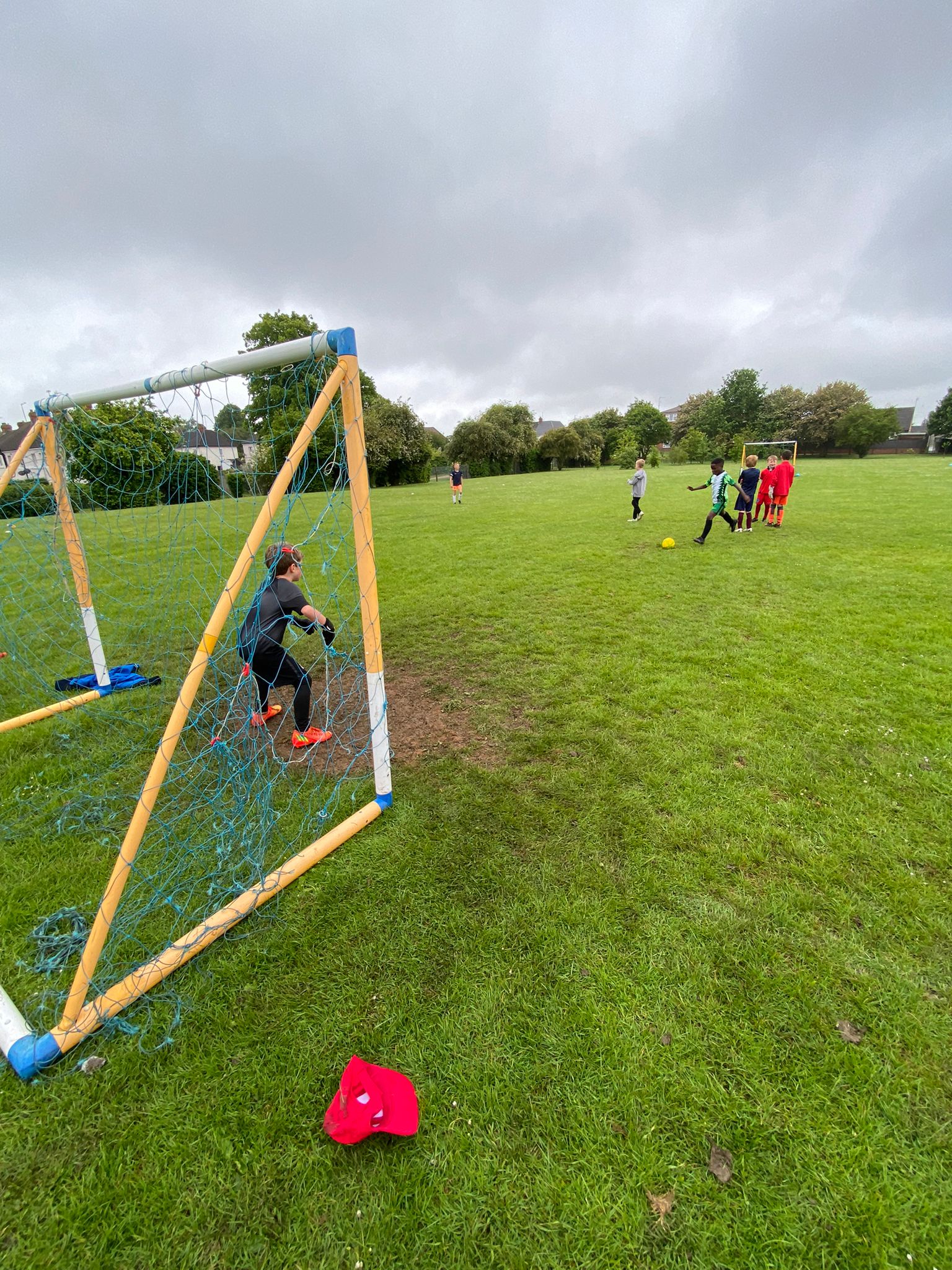 88b62644-4871-439b-8368-7d636d621e39