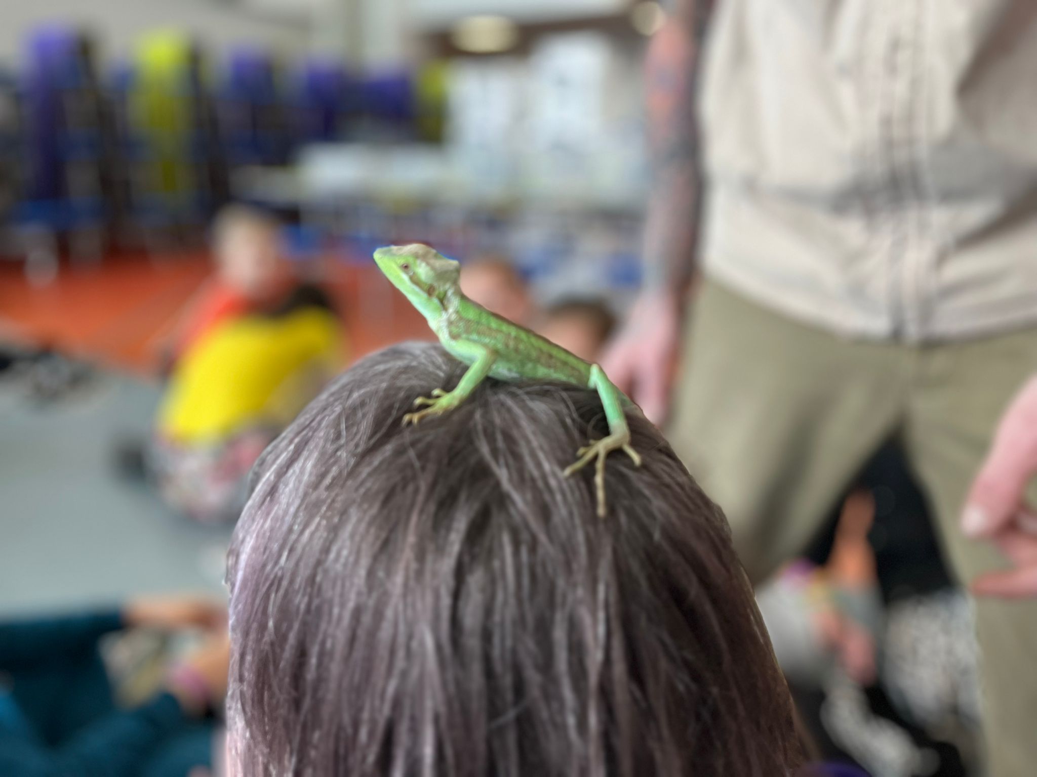 5b751675-eb2d-48bb-b770-84c7212f2c11