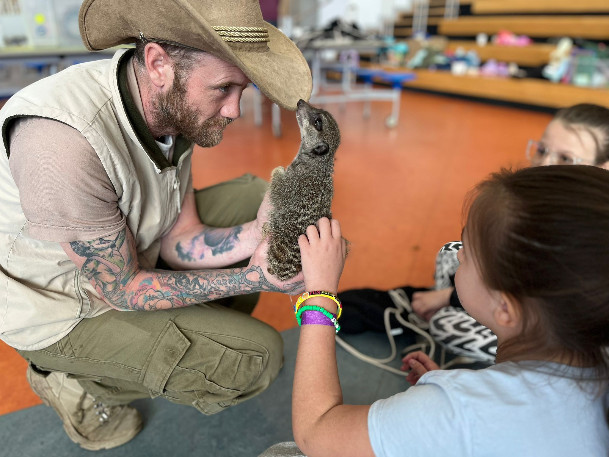 955ff7bc-0761-4290-a41c-18cc8ecd1403